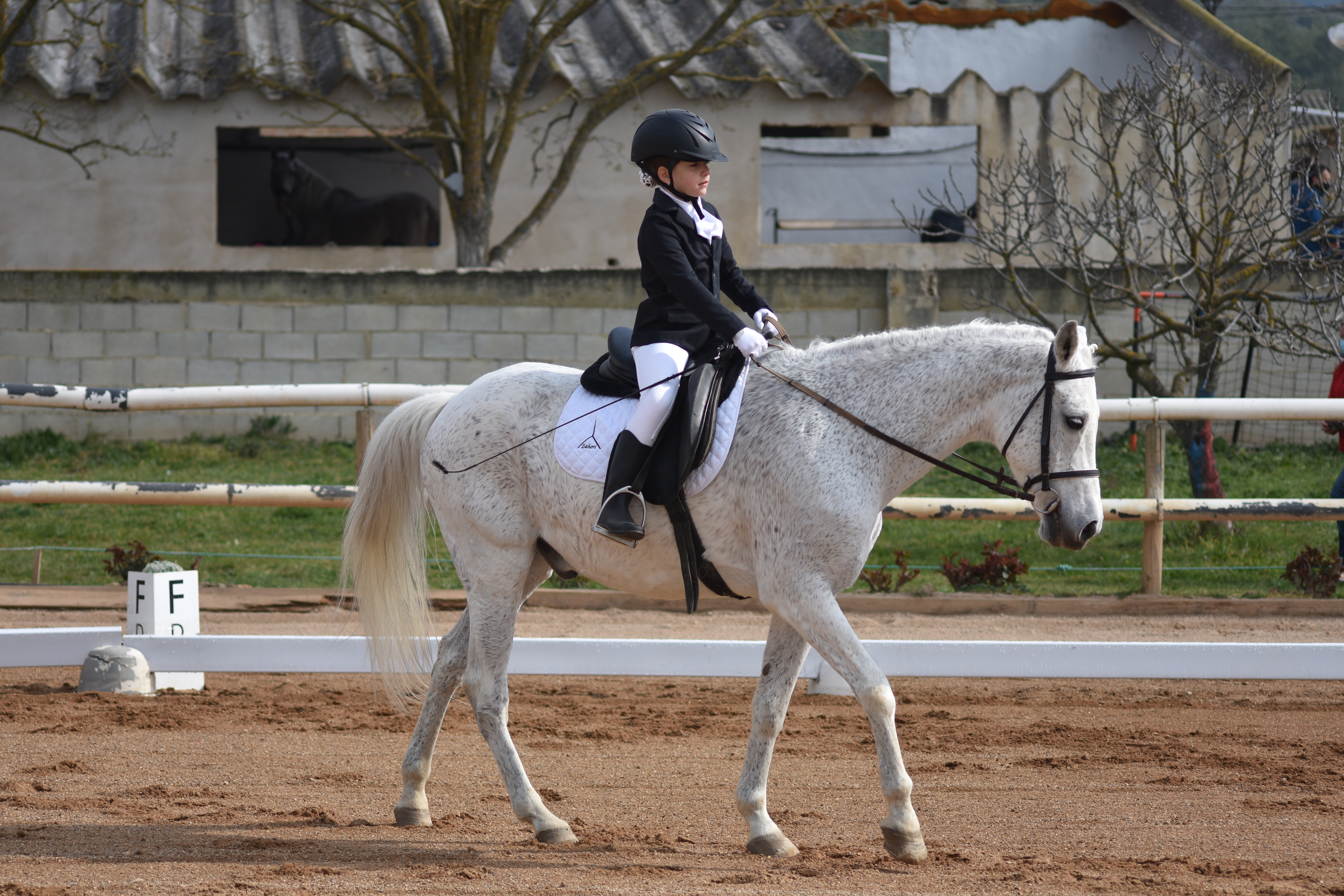 Más fotos de la Primera Fase de Doma Clásica en Acedo